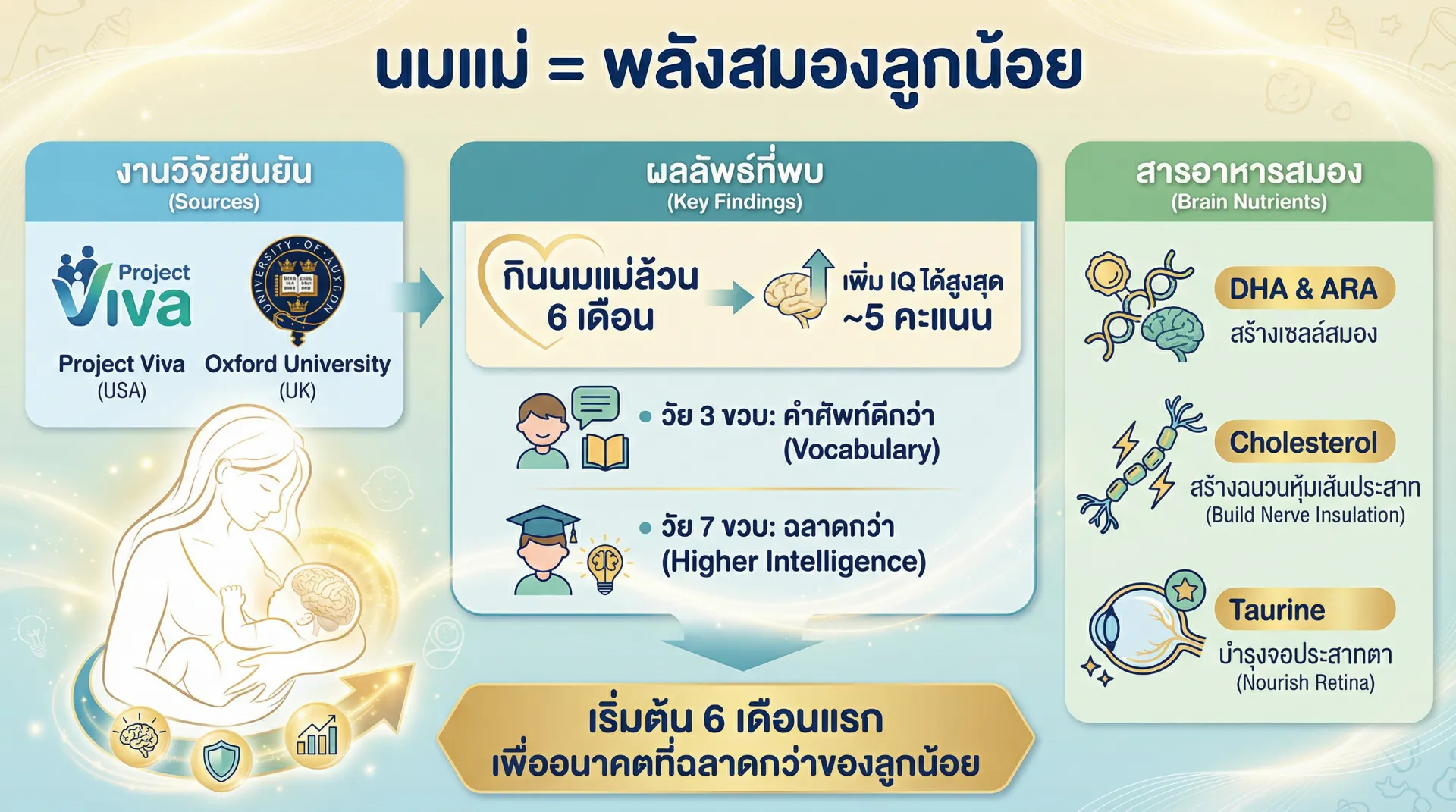 The uploaded reference character sheet shall be used for creating a person or character in this image, Modern Gen-Y Mom & Child Specialist, with reference the Uploaded reference image Character Sheet preserving facial fidelity, 30 year old Bangkokian, studying a medical journal or looking at a holographic infographic related to Breastfeeding Nutrients (DHA, ARA), thoughtful and professional expression, home office or library background, aspect ratio 21:9